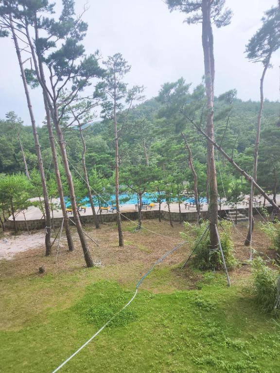 Sokcho Daemyung Heidi Pension Ngoại thất bức ảnh